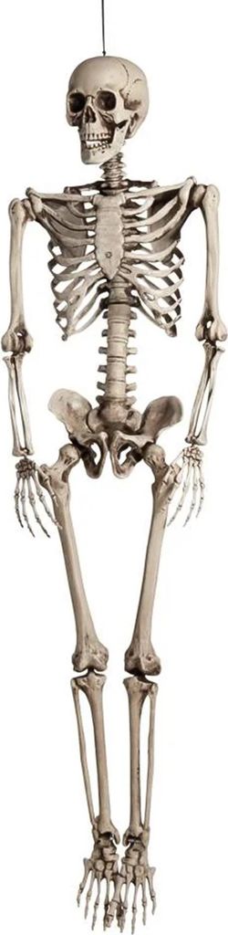 Boland 74515, Party-Türdekoration, Halloween, Skeleton, 180 Produktbild 