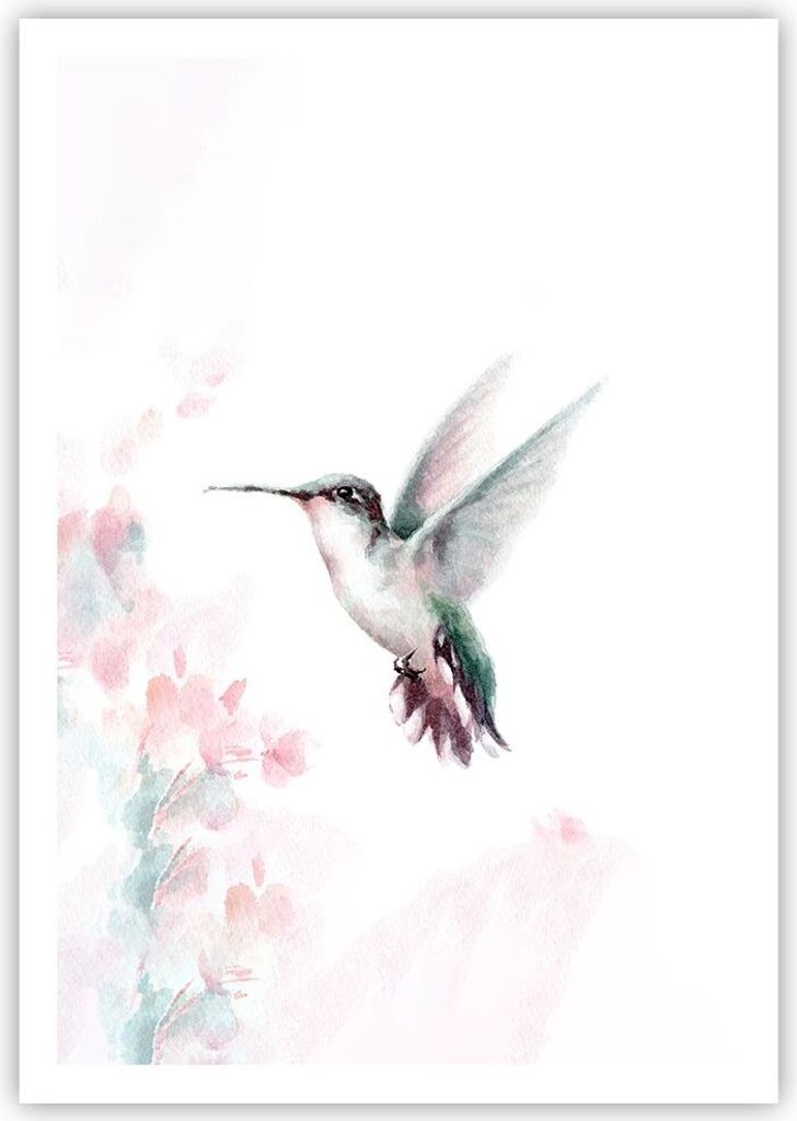 Poster - Poster ohne Rahmen - Kolibri Aquarell Licht - Produktbild 