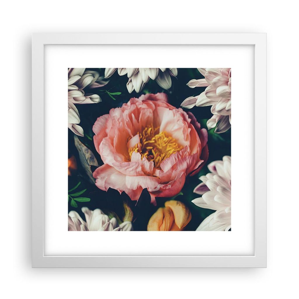 Gerahmtes Poster - Weißer Rahmen - Blumen Pfingstrose Holzig - 30x30 cm - Wand Bild - Wanddeko - Wandbilder - Kunstposter - Wandposter - Bilderrah...