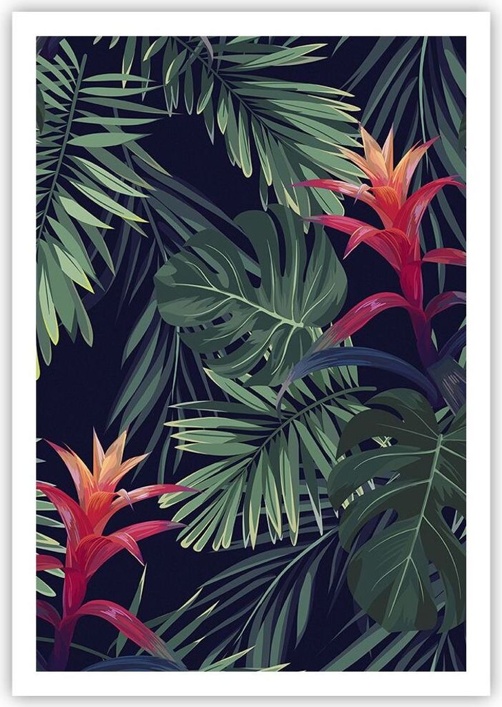 Poster - Poster ohne Rahmen - Exotisch Blumen Blätter - 70x100 cm - Wand Bild - Wanddeko - Wandbilder - Kunstposter - Wandposter - Bilder - Kunstd...
