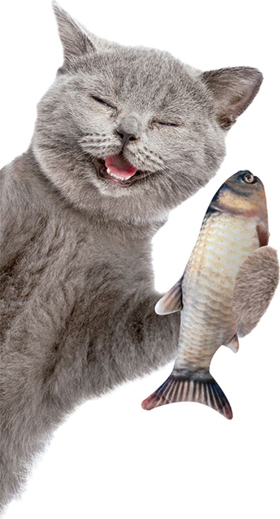 Hračka pre mačky Magic Fish s mačacou mätou, krúti sa ako Obrázok produktu 9