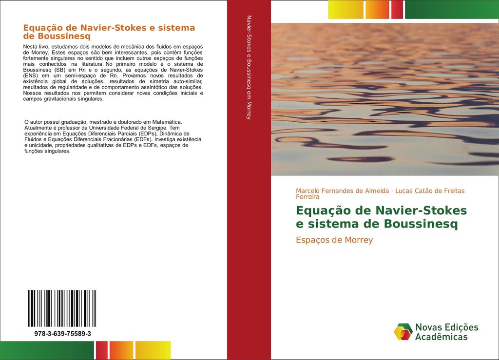 Equação de Navier-Stokes e sistema de Boussinesq