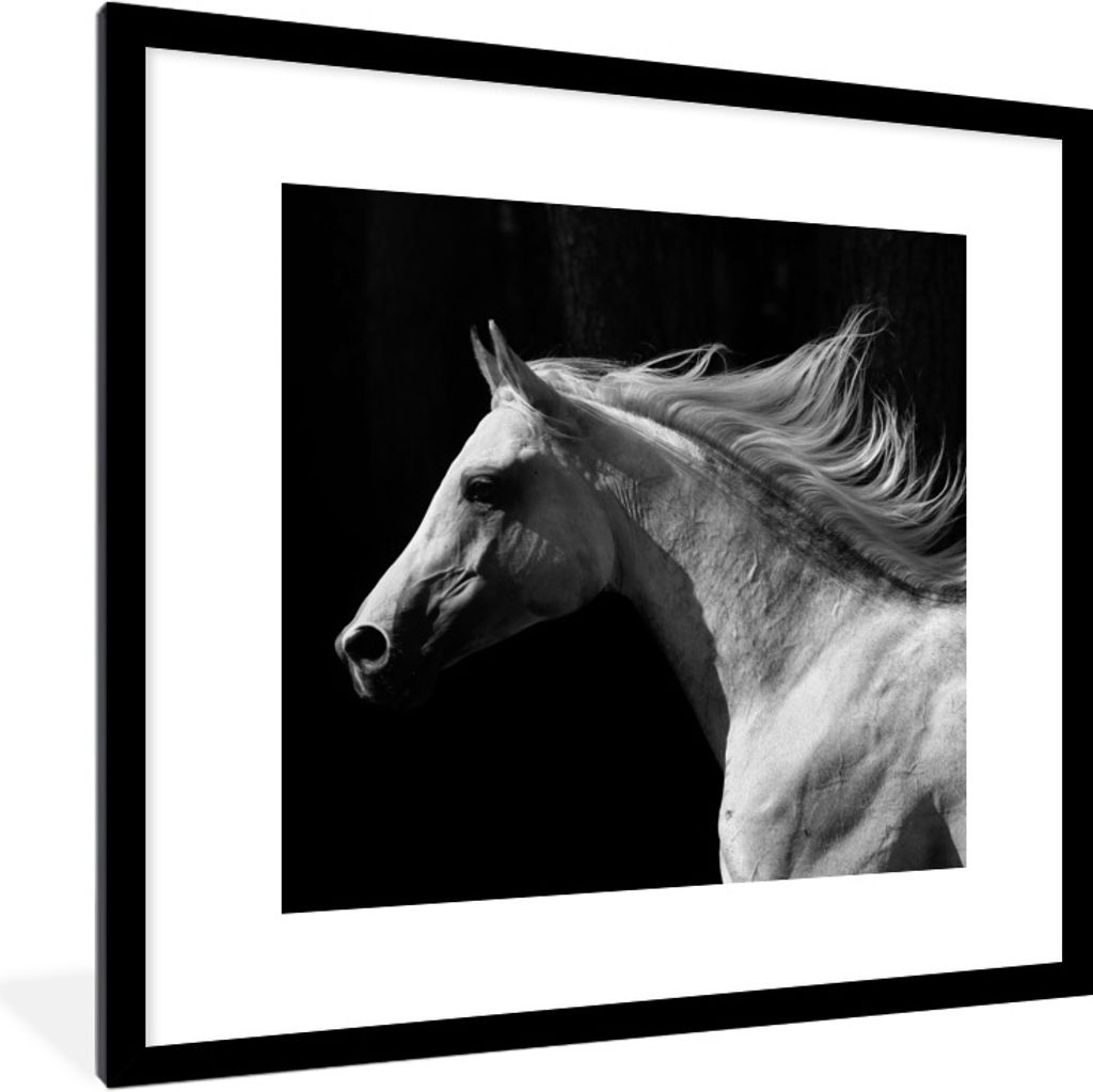 MuchoWow Gerahmtes Poster Pferde - Tiere - Porträt 40x40 cm - Poster mit Schwarzem Bilderrahmen Wandposter Rahmen Foto Bilder