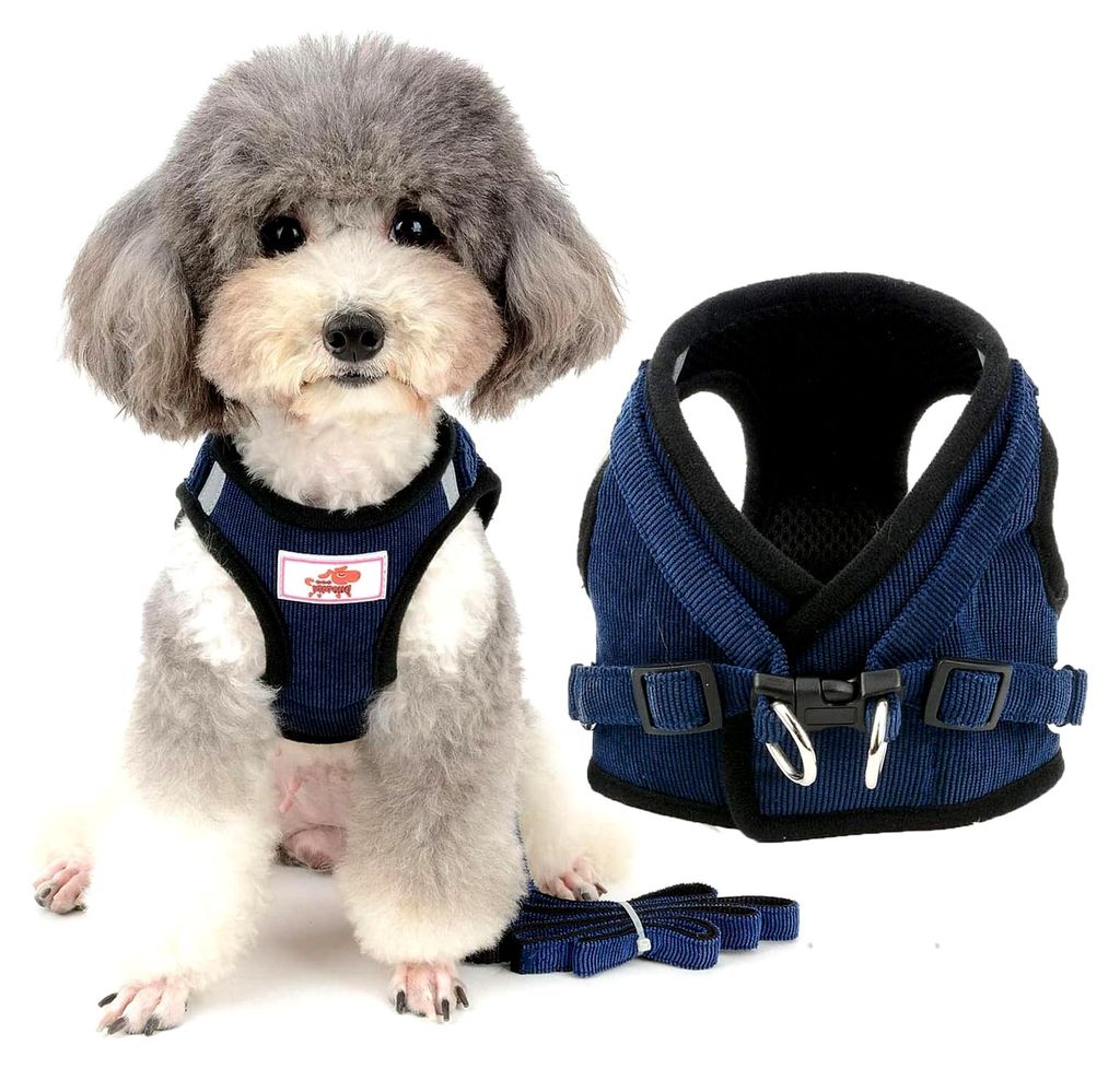 Hundegeschirr mit Leine für kleine Hunde und Welpen, verstellbar, reflektierend, weiches Netzgewebe, Brustgeschirr für Haustiere in Blau, Größe XS