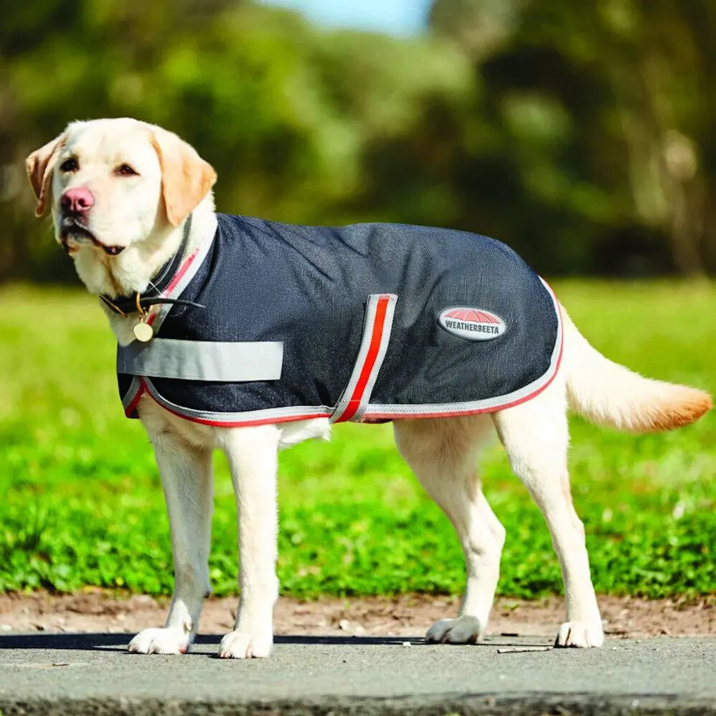 Weatherbeeta Therapy-Tec Manteau Chien 1200D - Protection et Bien-être