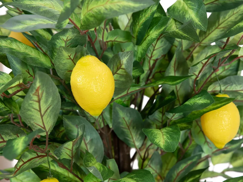 Pianta Limone Finta 150cm Europalms | Offerta Online Miglior Prezzo - 5