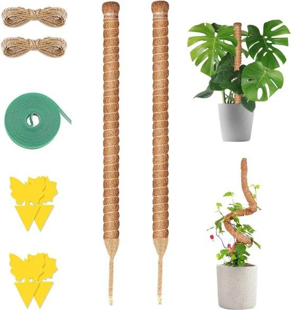 Lot de 2 tuteurs en fibre de coco 120 cm pour Monstera et plantes vertes