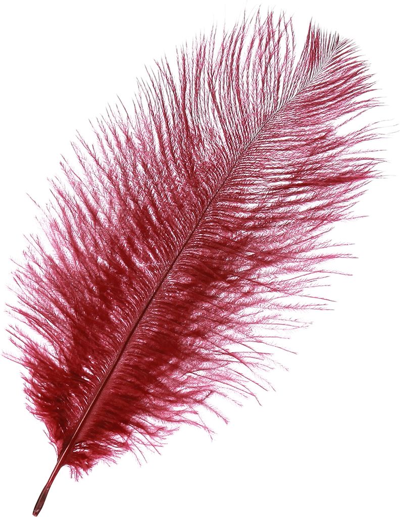 Straußenfedern Dekoration Weinrot 20-25cm 12 Stück - Echte Federn für Basteln und Hochzeitsdeko