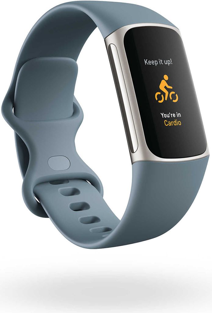 Fitbit Charge 5 graublau/platin Produktbild 18