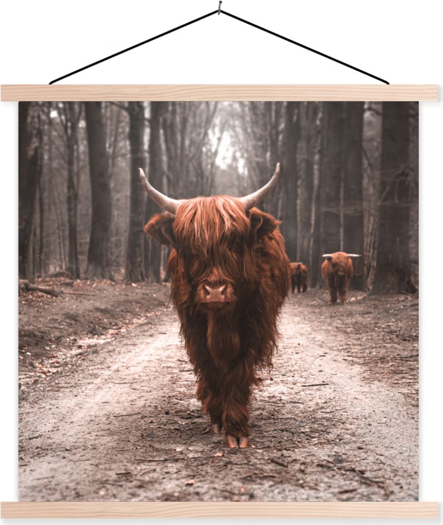 MuchoWow Textilposter Schottisches Hochlandrind - Wald - Kuh - Tiere - Natur 40x40 cm mit holzfarbenen Rahmen - Posterleiste