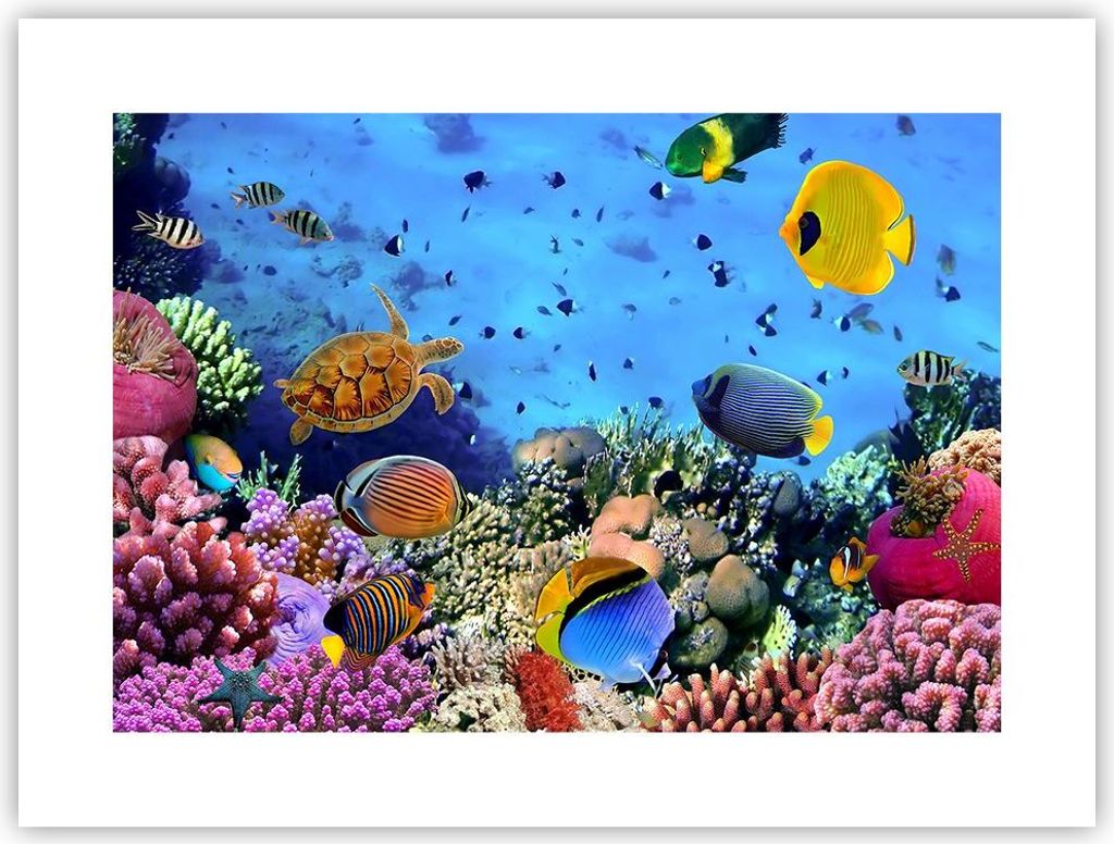 Poster - Poster ohne Rahmen - Korallenriff - 40x30 cm - Wand Bild - Wanddeko - Wandbilder - Kunstposter - Wandposter - Bilder - Kunstdruck - Wandde...