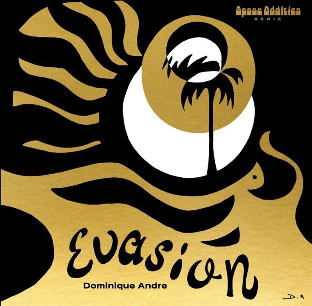 Musique Ambiance Spatiale Dominique Andre Evasion Vinyle LP pour Platine