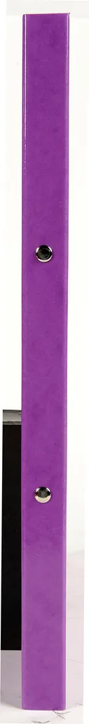 Classeur à élastiques A4 Violet Iderama pour Archivage Pro - 20 Unités