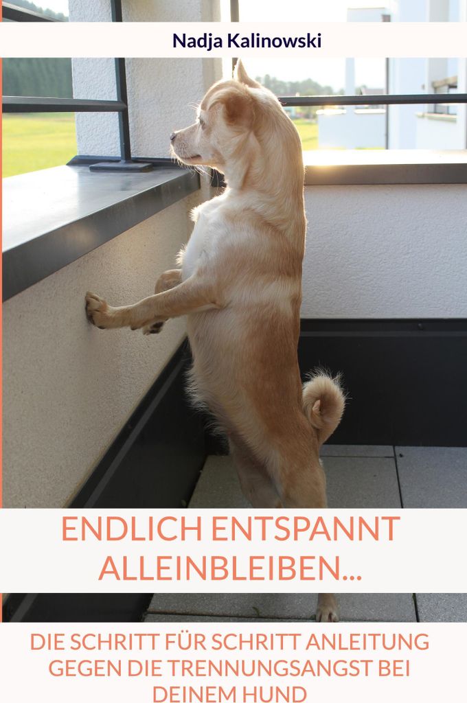Endlich entspannt Alleinbleiben...
