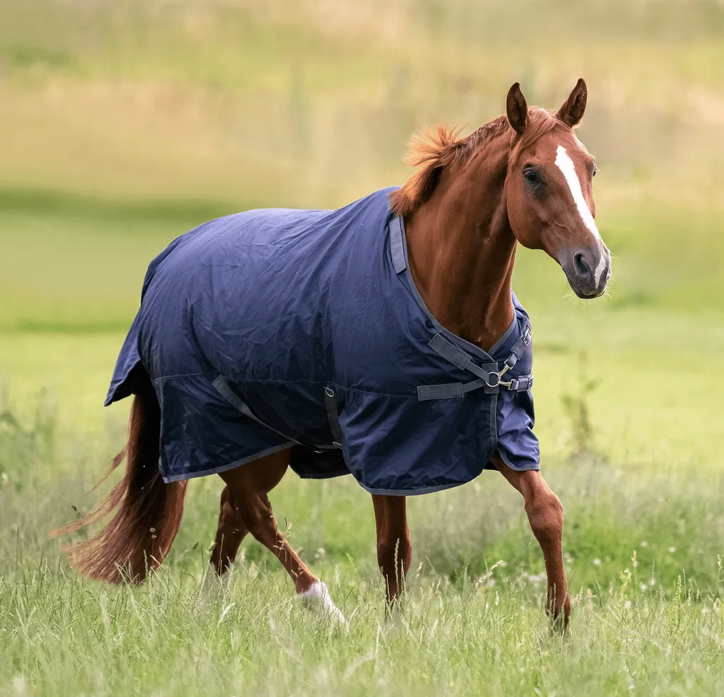 Couverture de Paddock Imperméable 100g Busse Flexible Pro Taille 125 - 2