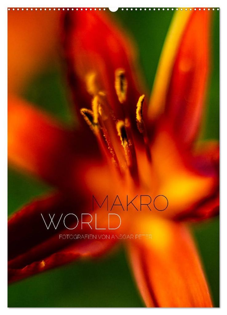 Makro World (Wandkalender 2027 DIN A2 hoch), CALVENDO Monatskalender