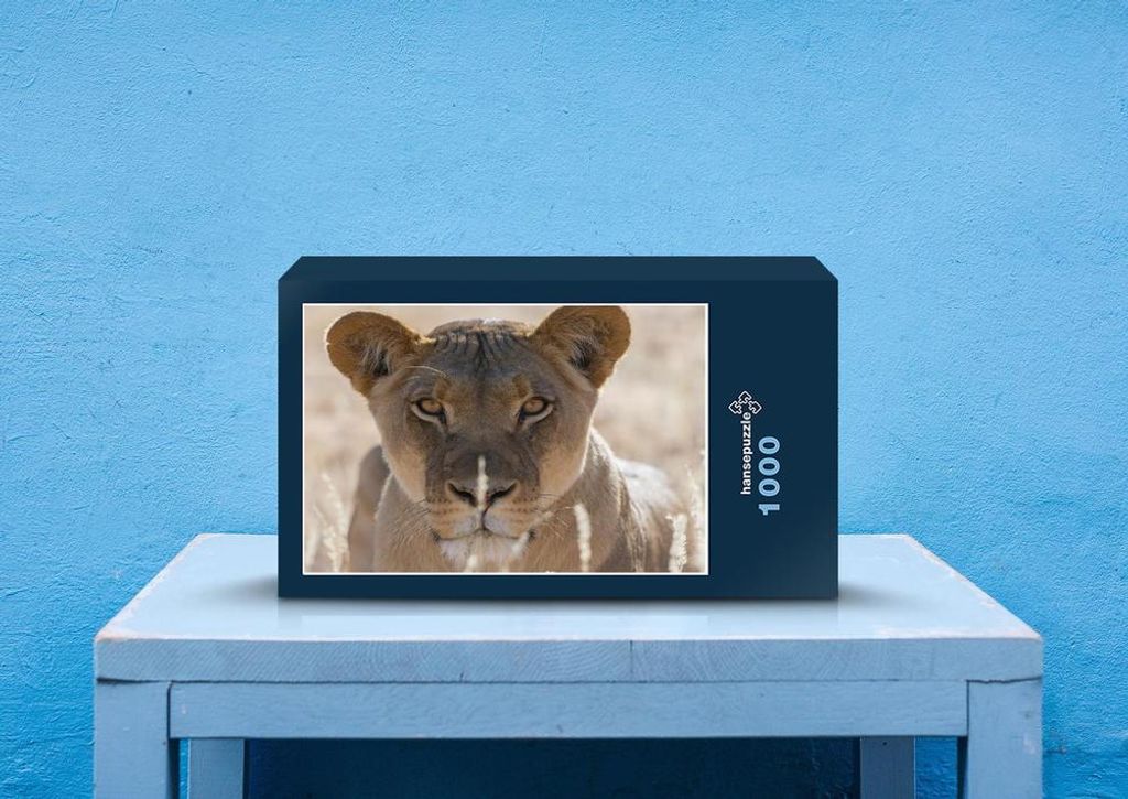hansepuzzle 77419 - Löwin Puzzle, 1000 Teile, Natur, 60,0 x 46,0cm mit hochwertiger Aufbewahrung, Kartonbox und wiederverschließbarem Beutel