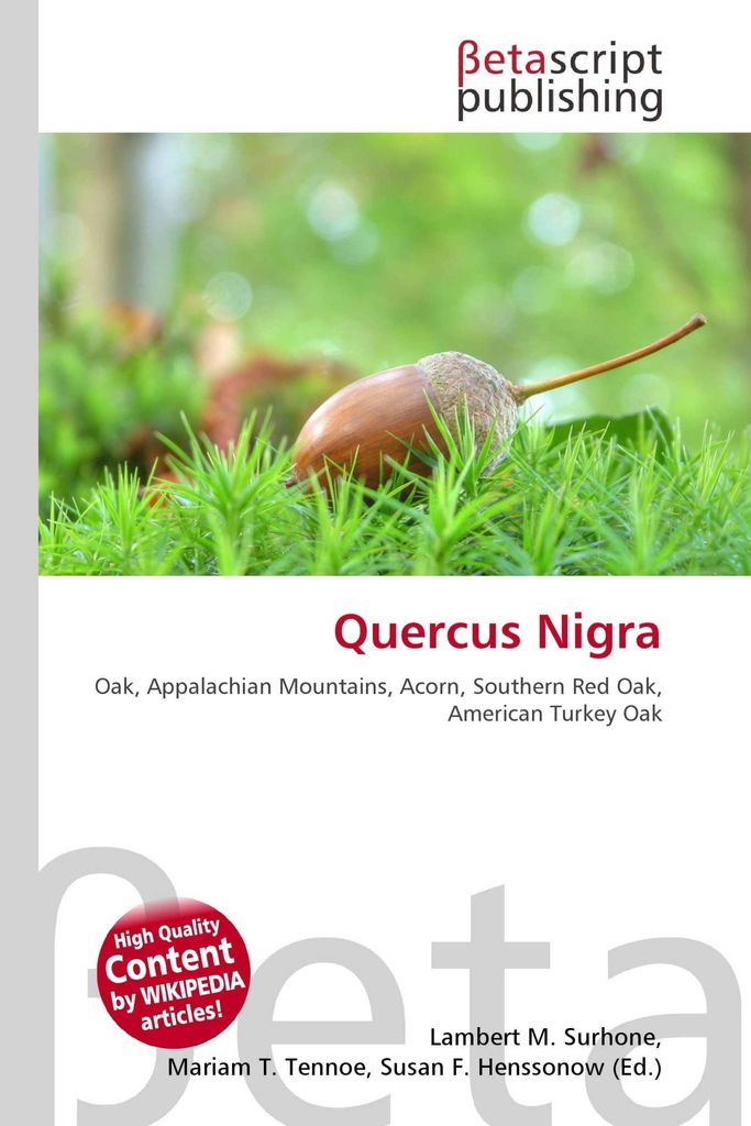 Quercus Nigra