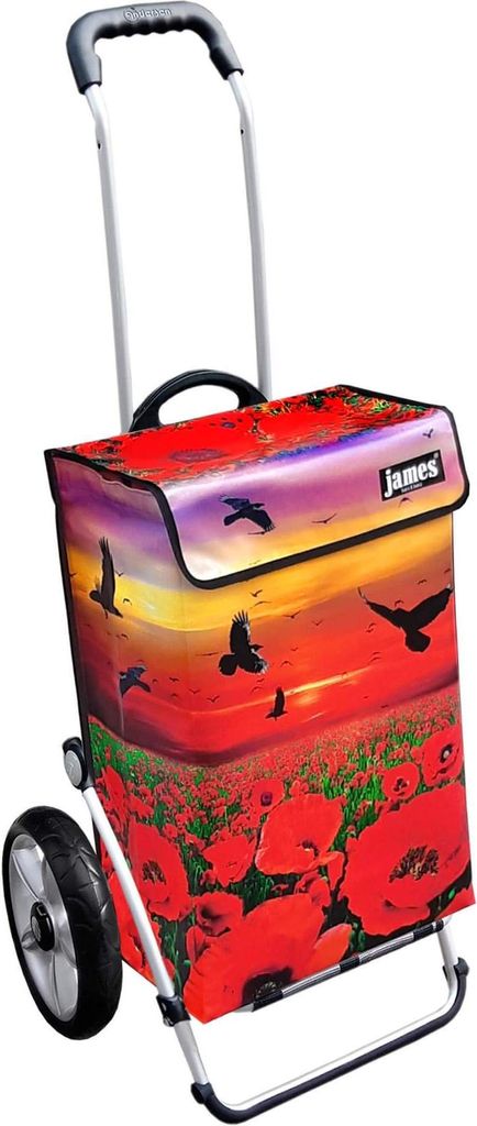 James Einkaufstrolley - POPPY - stabiler Einkaufswagen mit individuellem Design - einfarbig: rot in Ausführung: Royal-Leichtraeder