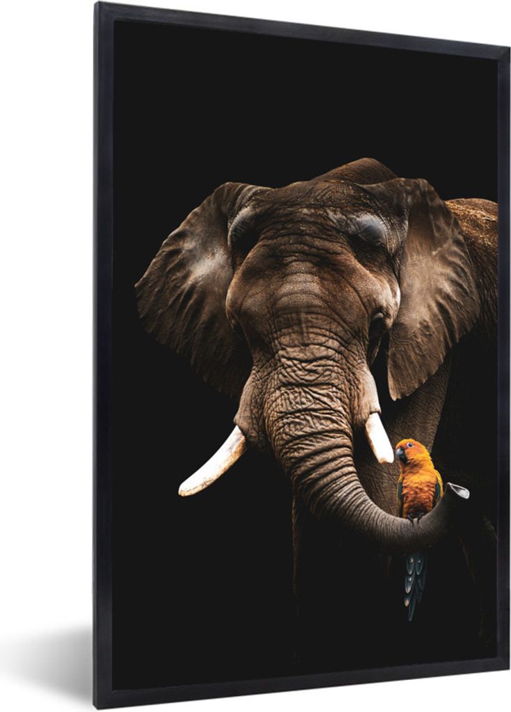 MuchoWow MuchoWow Gerahmtes Poster Elefant - Schwarz - Papagei 40x60 cm - Poster mit zchwarzem Bilderrahmen - Papierdruck - Wandbilder