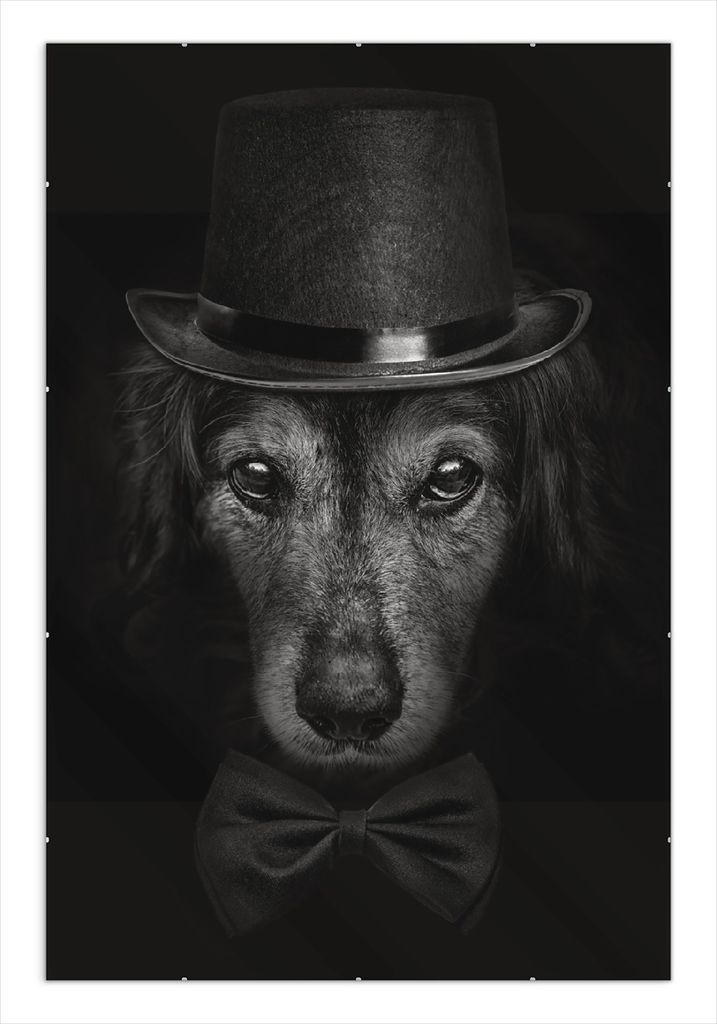 Wallario Wandbild Eleganter Hund mit Zylinder in schwarz-weiß, Größe: 61 x 91,5 cm, Poster mit rahmenlosen Bildhalter