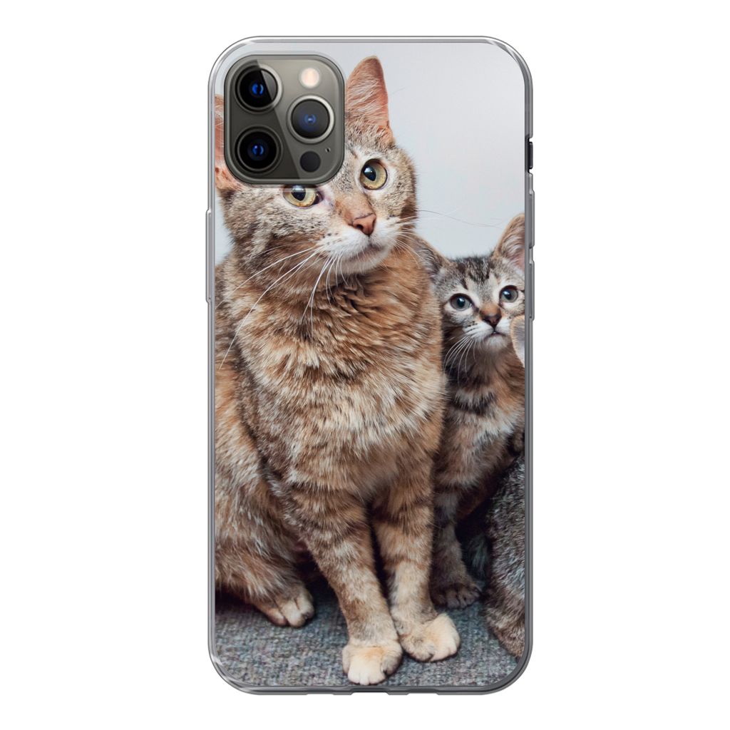 MuchoWow Handyhülle Schutzhülle Hülle für iPhone 12 Pro Max Katze - Kätzchen - Fell Silikon Softcase Handy Hülle - Hartschale