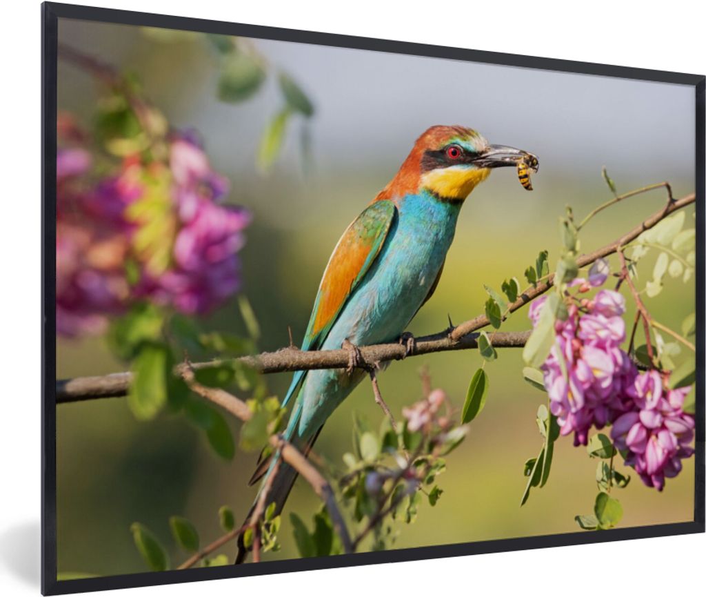 MuchoWow Gerahmtes Poster Vogel - Bienenfresser - Blumen 30x20 cm - Poster mit Schwarzem Bilderrahmen Wandposter Rahmen Foto Bilder - Kunstdruck ...