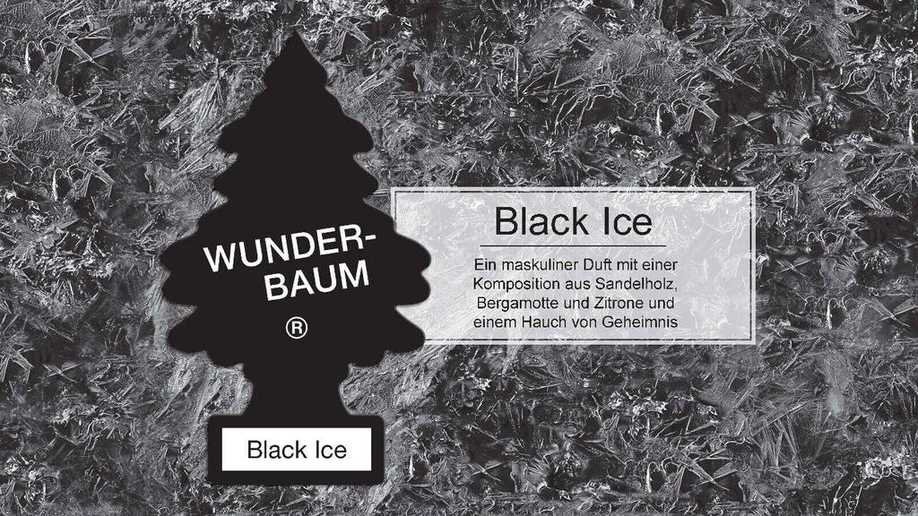 Wunder-Baum Bäumchen Black Ice (3er Blister) Produktbild 4
