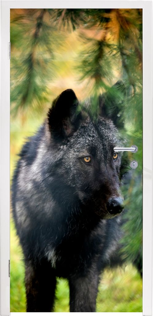 MuchoWow Türtapete Selbstklebende Türfolie Wolf - Makro - Blätter 80x205 cm Türposter Türaufkleber Klebefolie Türklebefolie - Fototapete - ...