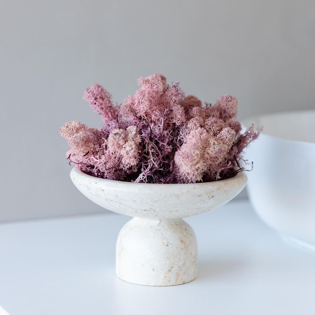 Reindeer Moss – Island Moos – Deko Moos in Natur, Pink, Lila, Orange, Rosa & Grün – 250g oder 500g – Natürliches, pflegeleichtes & luftre...
