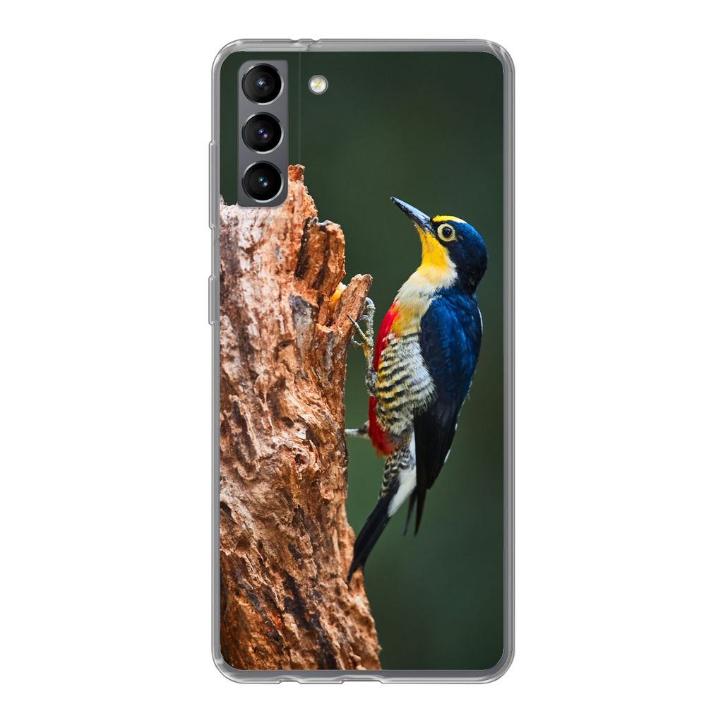 MuchoWow Handyhülle Schutzhülle Hülle für Samsung Galaxy S21 Plus Nahaufnahme eines bunten Vogels auf der Seite eines Baumstamms Silikon Soft...