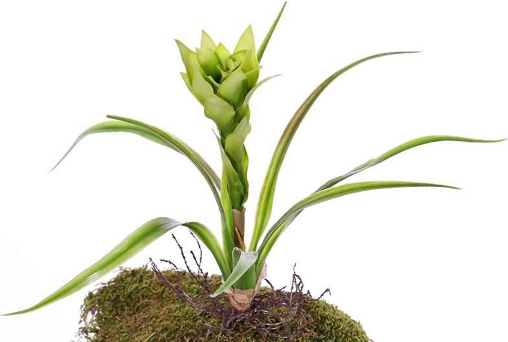 artplants.de Kunstpflanze Guzmania ANELY mit Blüten, auf Steckstab, grün, 40cm - Deko Pflanze