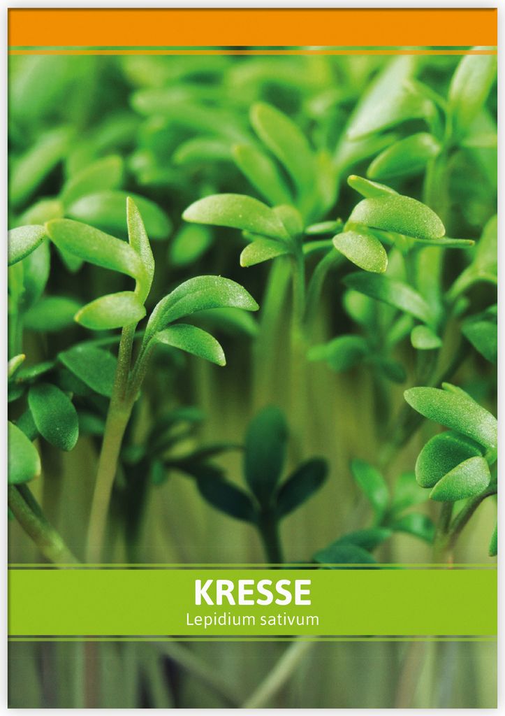 Einfache Kresse | Kressesamen von FLORTUS