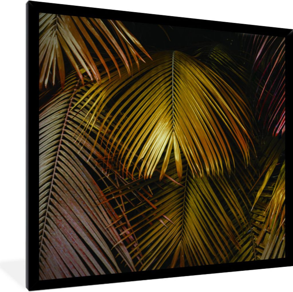 MuchoWow Gerahmtes Poster Dschungel - Palme - Gold 40x40 cm - Poster mit Schwarzem Bilderrahmen Wandposter Rahmen Foto Bilder - Mit Rahmen - Wand...