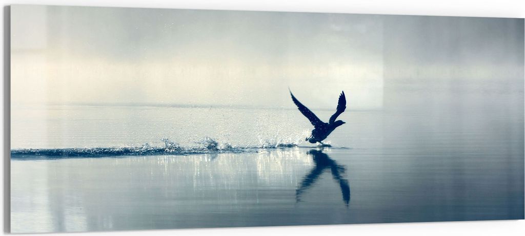 DEQORI Glasbild Echtglas 125x50 cm 'Vogel landet auf Wasser' Wandbild Bild modern Deko