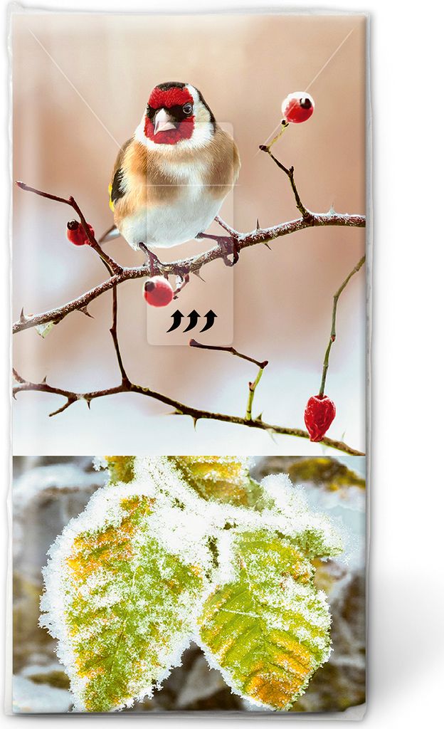 Taschentücher - Saison dhiver