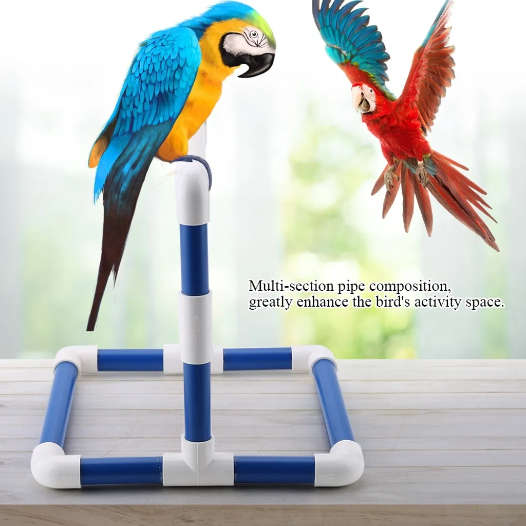 Supporto per Pappagalli Design | Posatoio Trendy per Foto e Gioco - 4