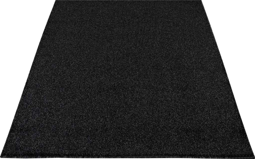 Tapis de Salon Grande Taille 200x290 cm - Revêtement de Sol Anthracite