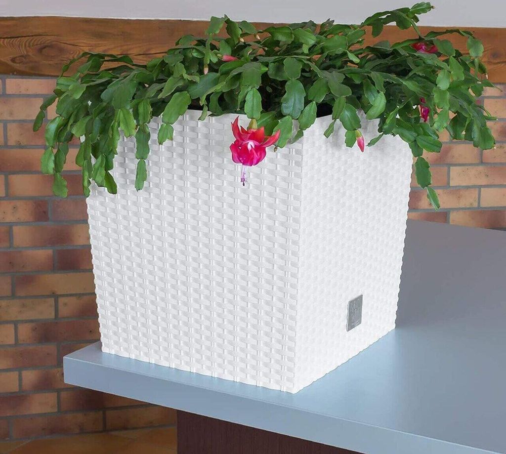 Blumentopf + Einsatz Blumenkübel Rattan RATO LOW DRTS225L Produktbild 19