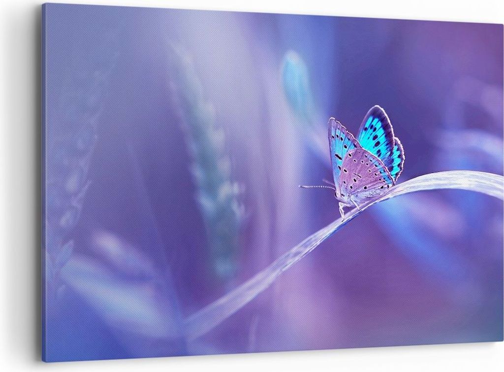 Bild auf Leinwand - Leinwandbild - Schmetterling Natur - 120x80cm - Wand Bild - Wanddeko - Leinwanddruck - Bilder - Kunstdruck - Wanddekoration - L...