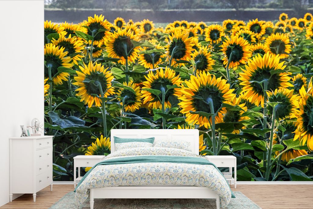 MuchoWow Fototapete für Wohnzimmer oder Schlafzimmer Wandtapete Vinyl Motivtapete Sonnenblumen - Frühling - Gelb - 600x400 cm - Vinyltapeten