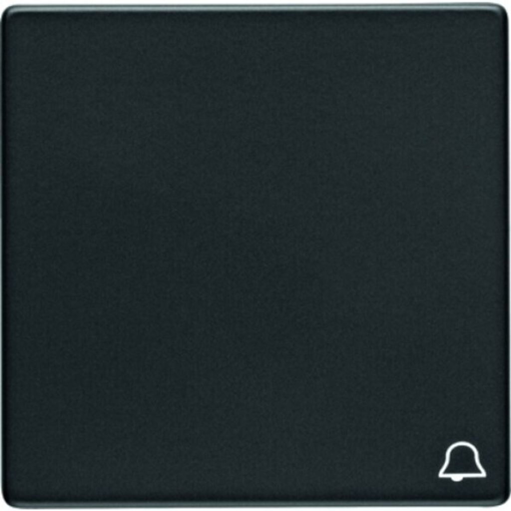 Berker Wippe m. Aufdruck Symbol 16206056 Klingel Q.1/Q.3 Produktbild 