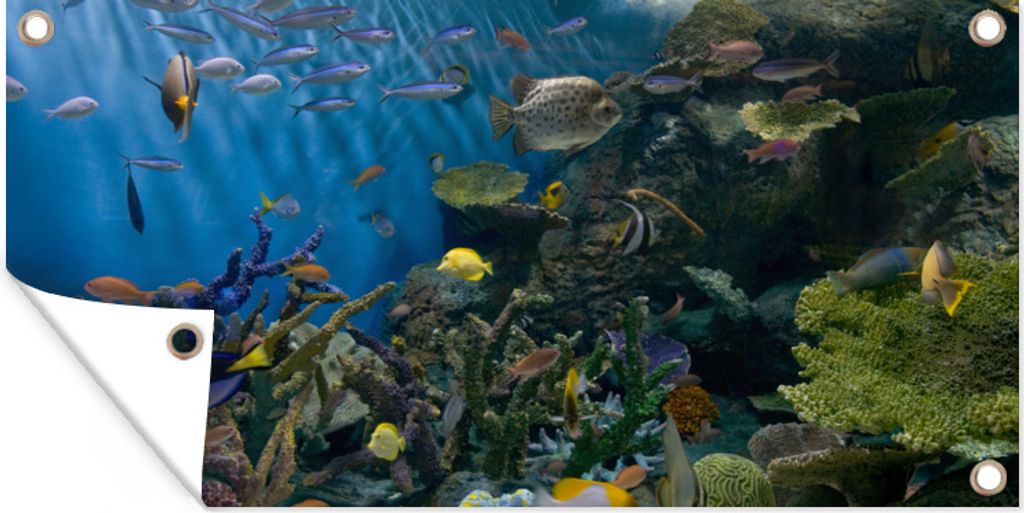 MuchoWow 60x30 cm Outdoor-Poster Gartendeko Sichtschutz Garten Poster für den Garten Lebendige Unterwasserwelt
