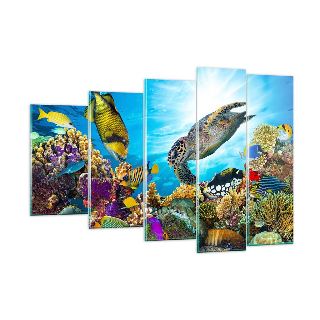 Bilder auf glas - Riff Koralle Fisch - 150x100cm - Glasbilder - Wandbilder - Kunstdruck - zum Aufhängen bereit - Wanddekoration aus Glas - Glas Bi...