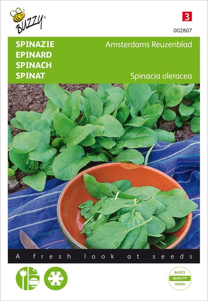 Spinat Amsterdams Reuzenblad | Spinatsamen von Buzzy Seeds