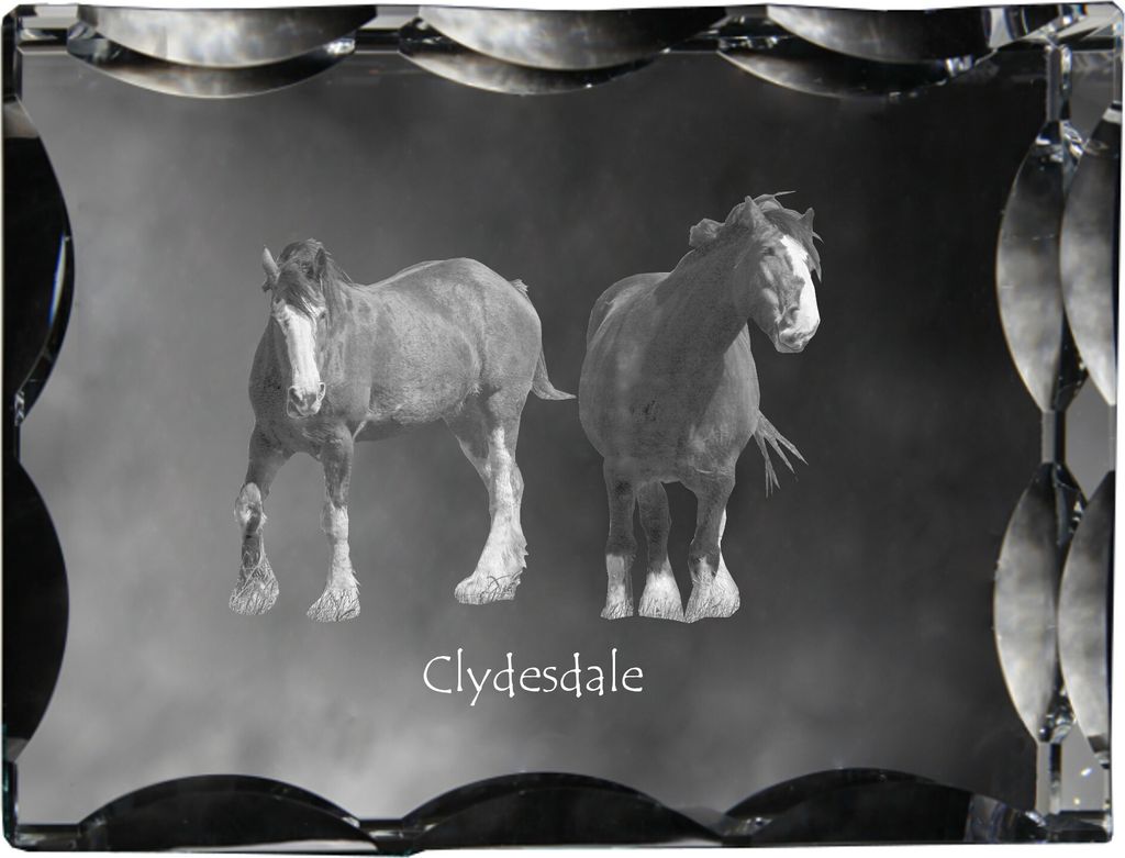 Clydesdale - crystal with a picture of a horse, glass statuette with a picture, unique frame with a picture from Art-Dog brand
