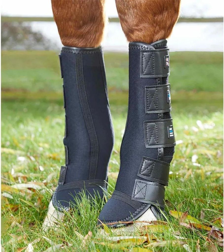 Premier Equine Mud Fever Bottes de tendon Noir XL Noir XL Image du produit 