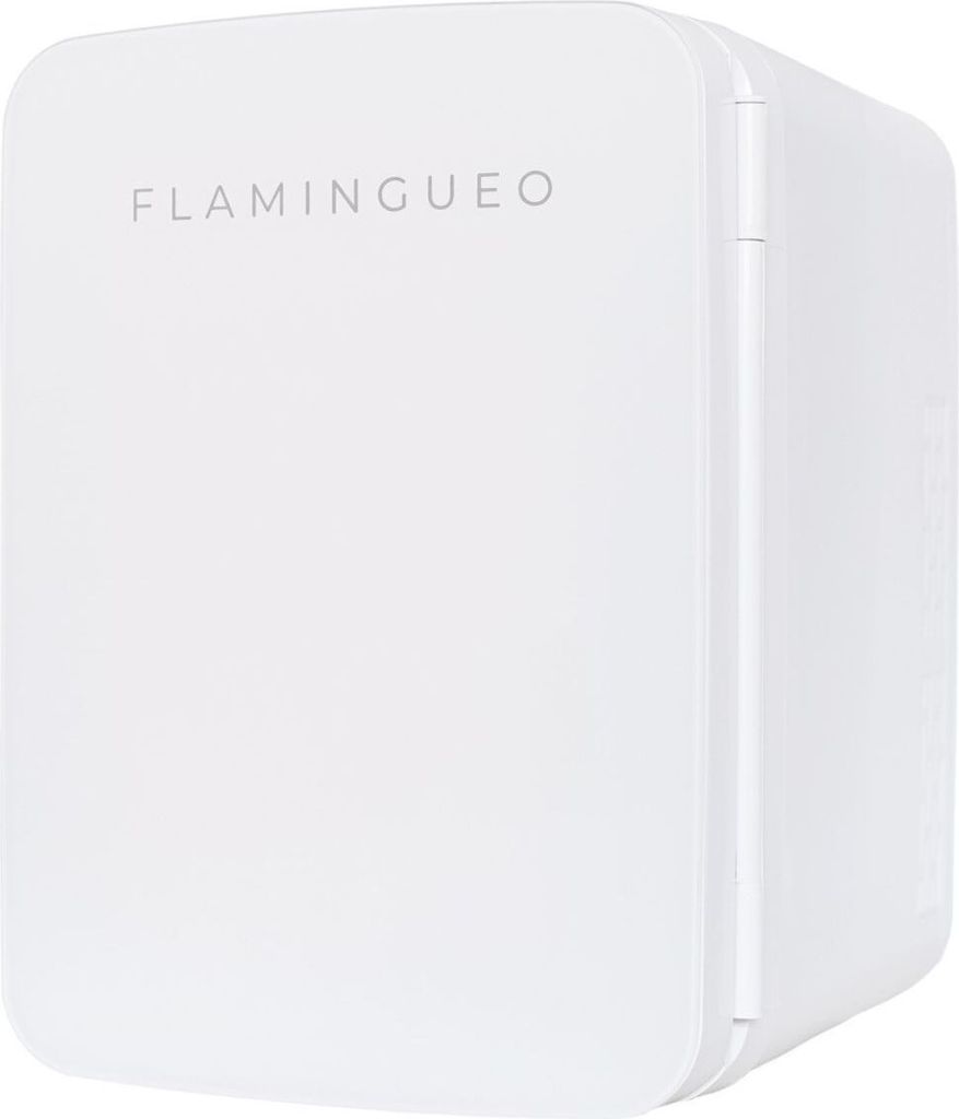 Flamingueo Kühlschrank Klein 10L Funktion Kühlen und Heizen 12V/220V