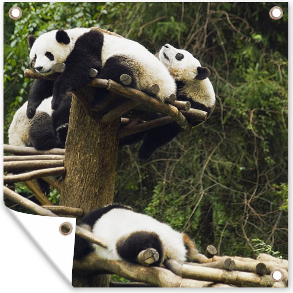 MuchoWow 100x100 cm Outdoor-Poster Gartendeko Sichtschutz Garten Poster für den Garten Pandas - Holz - Treppe