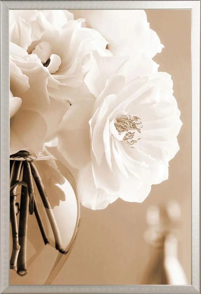 Affiche Roses sépia pour salon avec cadre Shinsuke aluminium argent 61cm